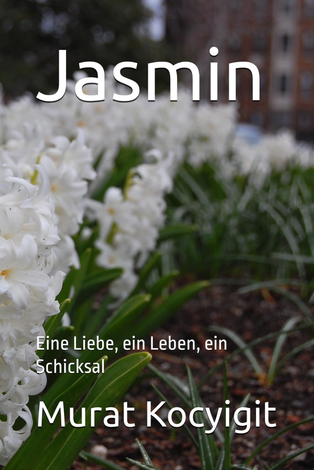 Jasmin: Eine Liebe, ein Leben, ein Schicksal