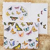 Carol Wilson Fine Arts Butterflies Blank 10 Card Set Portfolio