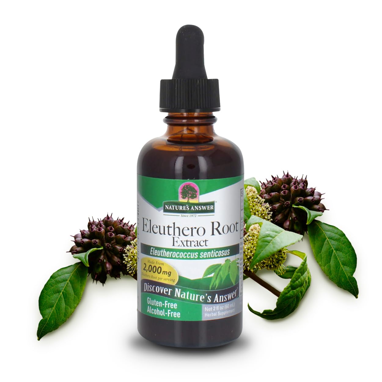 Nature's Answer Alcohol-Free Eleuthero Root, 2-Fluid Ounces | Vegan | No Preservatives Gluten Free Eleuthero Extract