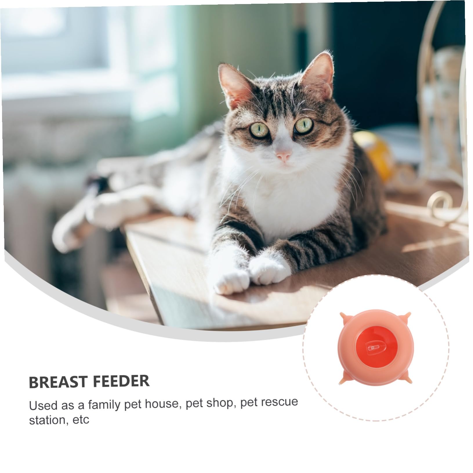Comedero de Leche para Gatitos de Silicona Ligera y Flexible, Alimentador Resistente Que No se Deforma, Adecuado para Mascotas Recién Nacidas
