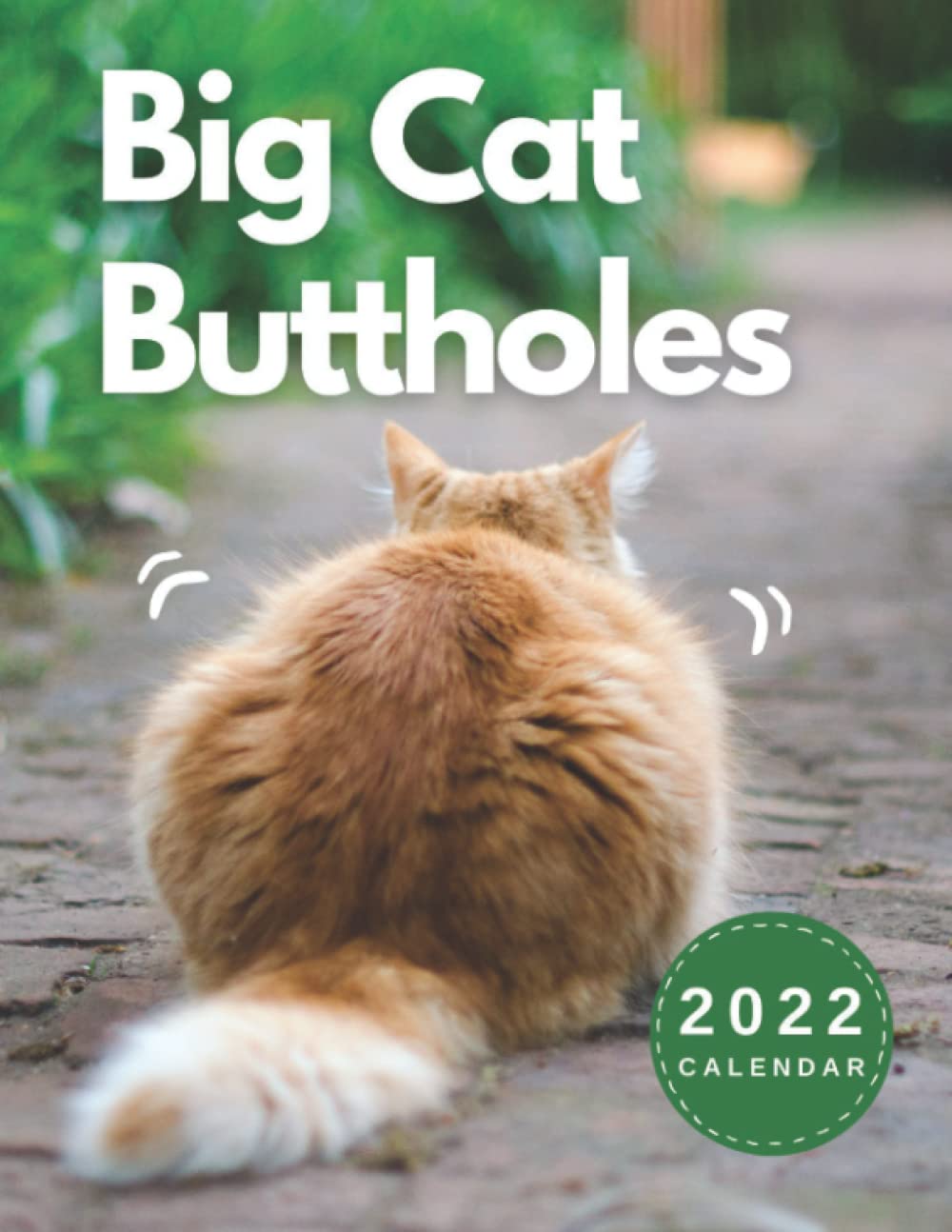 Big Cat Buttholes Calendar: Hilarious Calendar for Adults with Funny Pictures - Animal Lovers