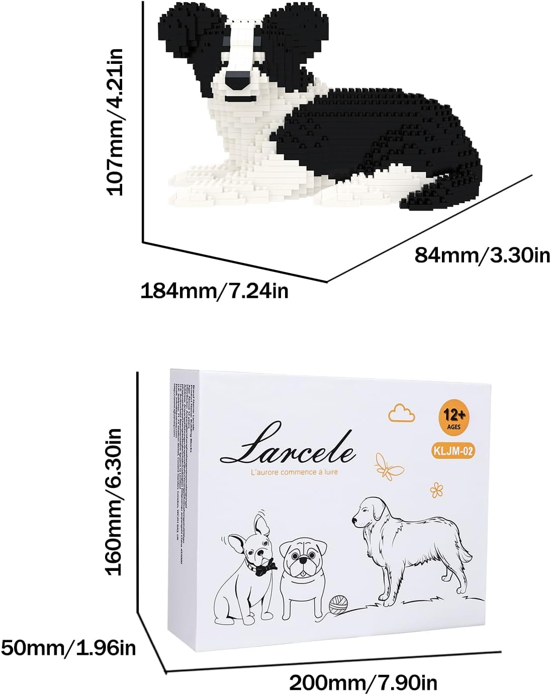 Diagram showing the dimensions of the assembled Border Collie 2 model and its packaging