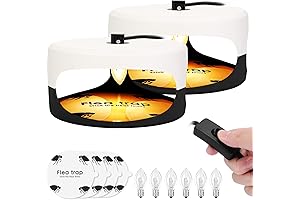 Flea Traps: Effective Household Termination Station