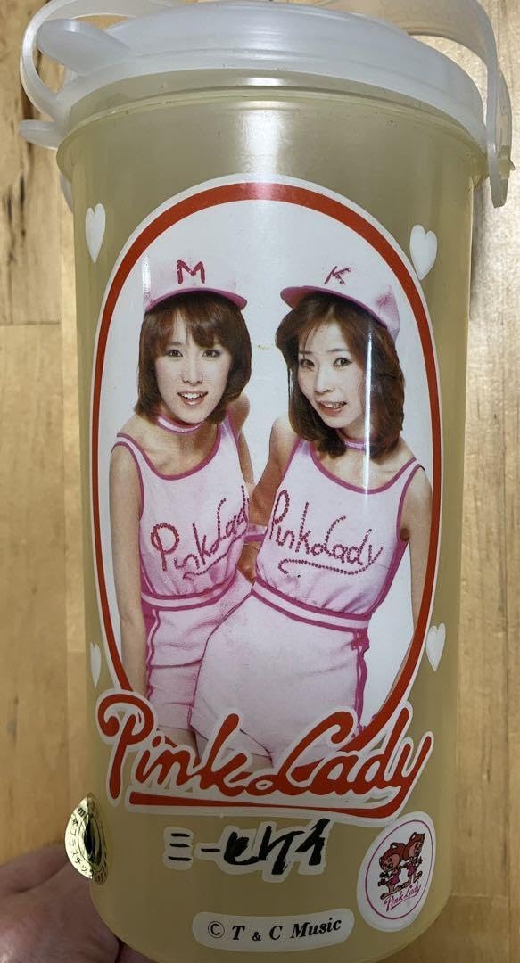 ピンクレディ サウスポー モンスター ゴミ箱 缶 昭和レトロ アイドル