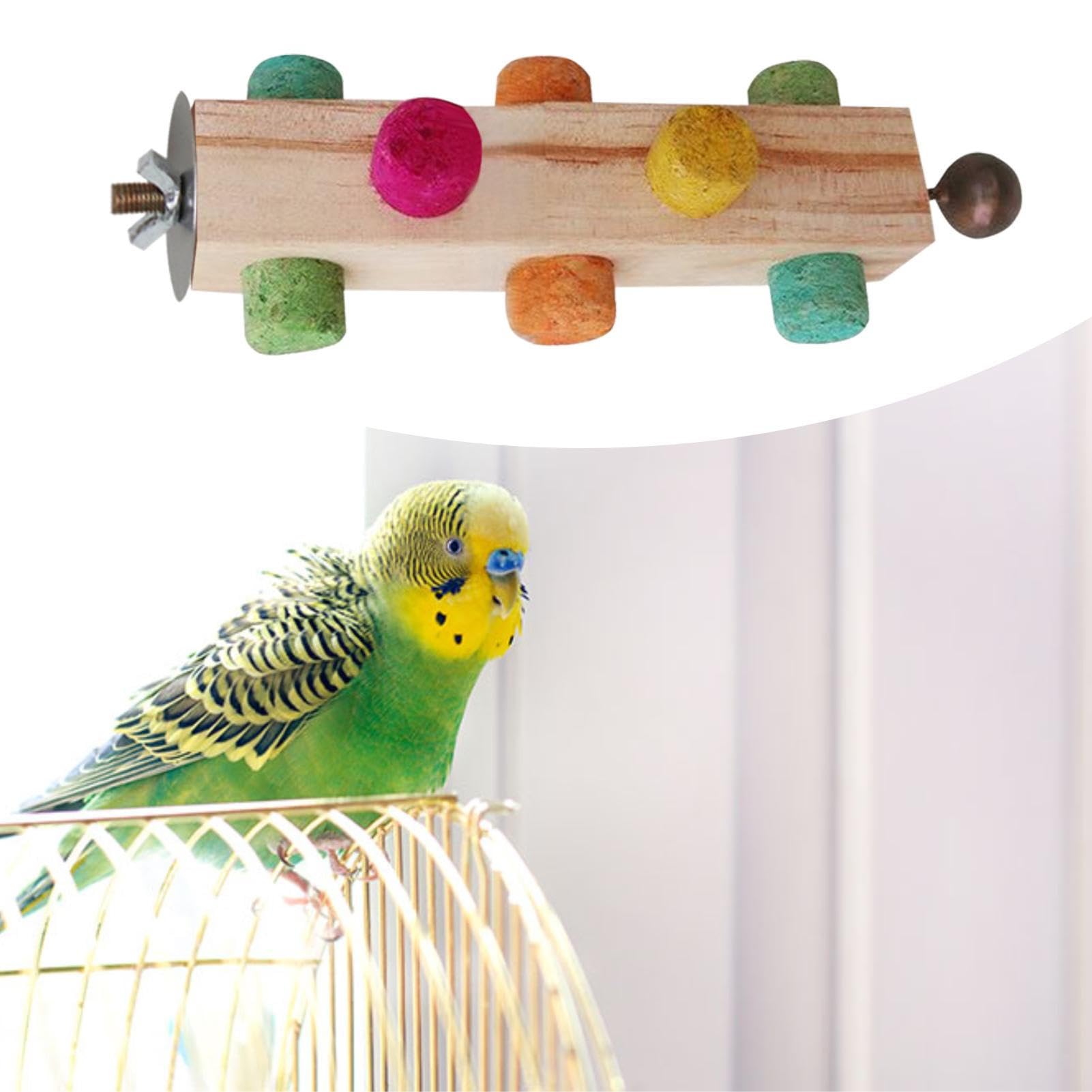 Amazon.co.jp: 鳥の餌探しのおもちゃ,オウム用の鳥のおもちゃ | オウム