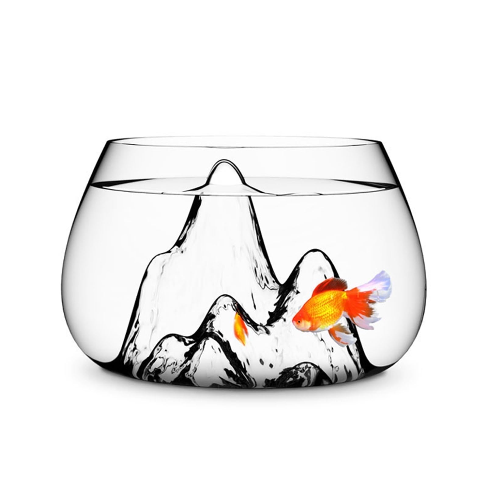Amazon.com : Fish Bowl Creative Desktop Glass Aquarium Tank with