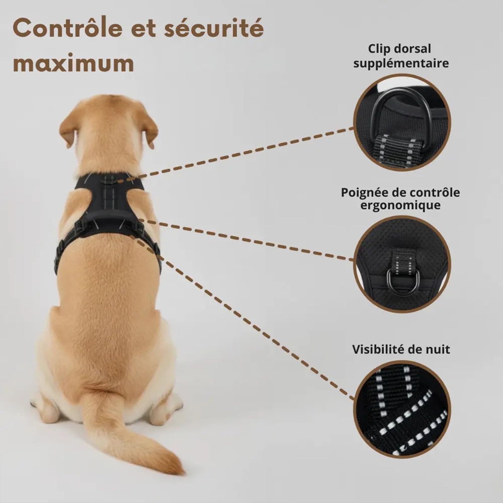 Harnais Elyo Anti Traction pour Chien – Harnais Réglable et Respirant avec Double Attache Avant et Arrière, Bandes Réfléchissantes et Poignée de Contrôle pour Promenades Quotidiennes (L) - 5
