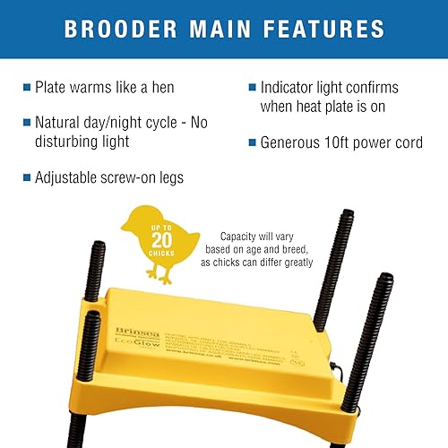 Miniatura 29 de Brinsea Incubadora de huevos Mini II Advance con giro automático de huevos y control de temperatura para incubar 7 pollo, pato u otros huevos