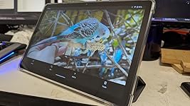 Review Image by Iain Brown Iain Brown