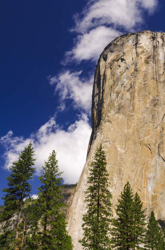 Morning light on El Capitan, Yosemite National Park, California Poster Print by Russ Bishop (24 x 36)
