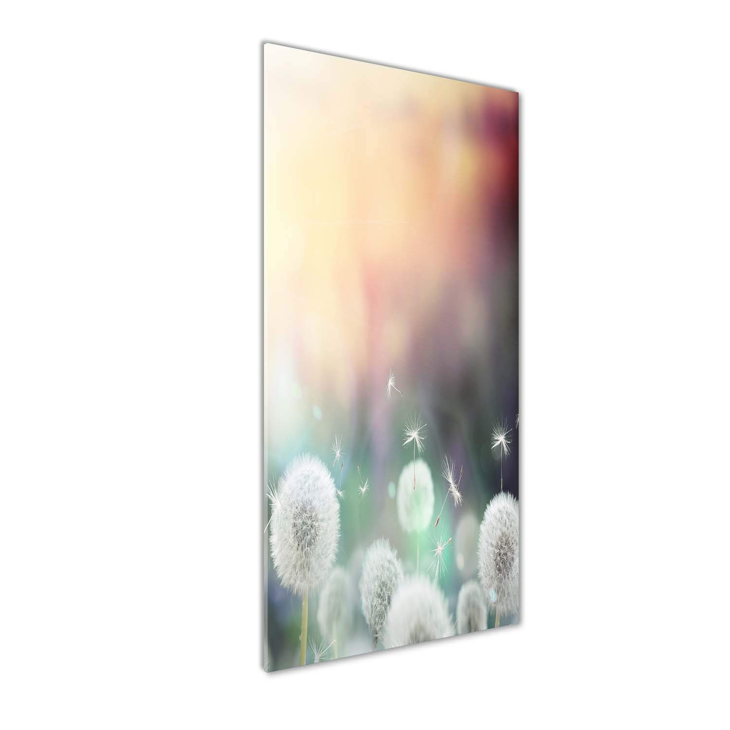 Image sur verre Tulup déco mural pissenlits fleurs orange 50x125