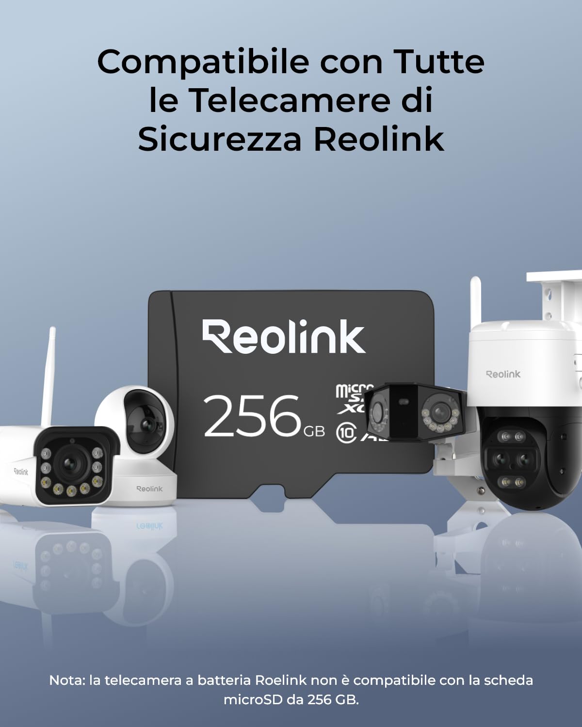 Reolink 256GB Scheda di Memoria MicroSDHC ad Alta Velocità, Classe 10, Scheda di Memoria A2 U3, Compatibile con Telecamera di Sicurezza Reolink