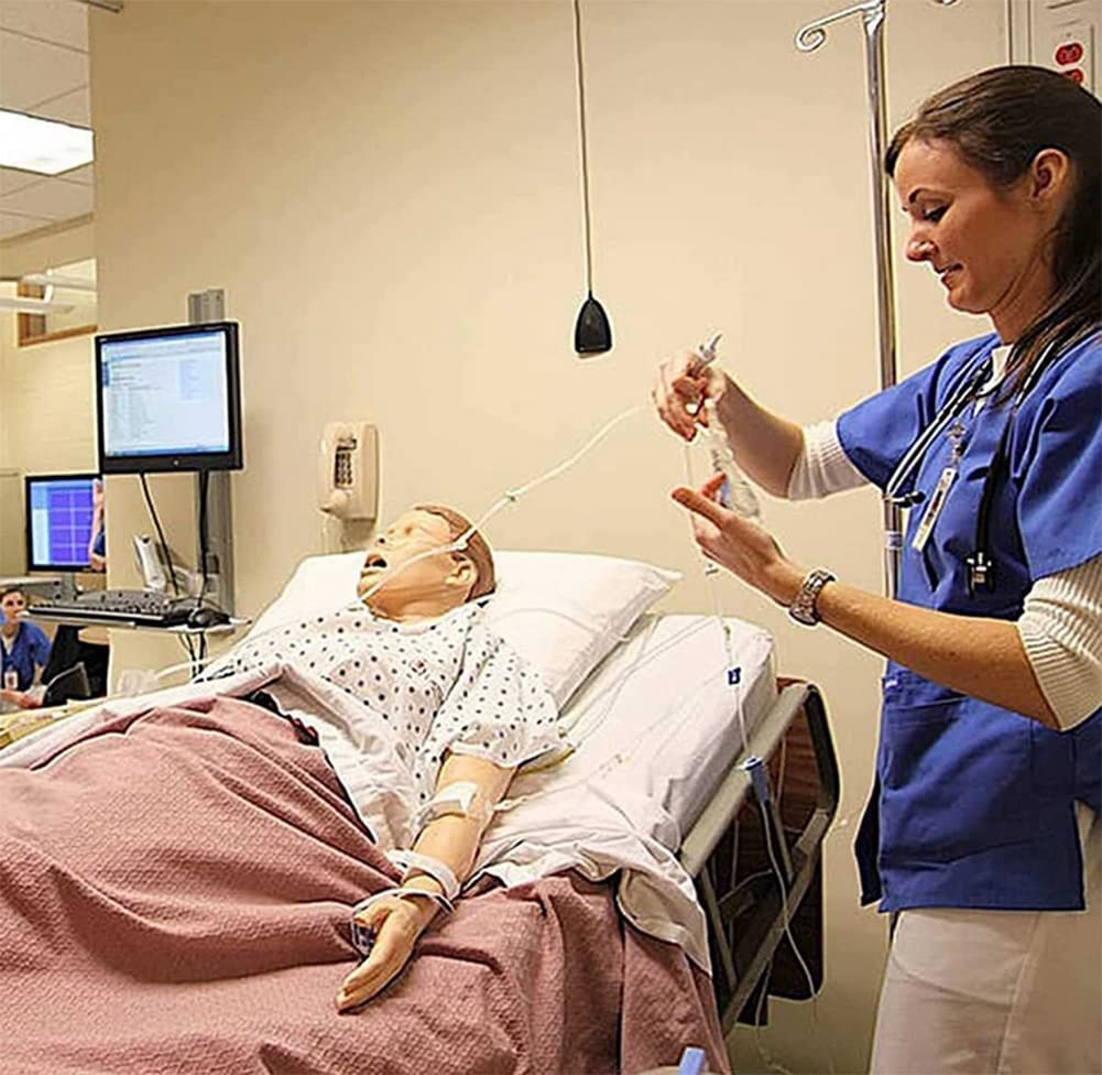 Anatomisches Modell für Patientenversorgung, PVC, 1,5 m, menschliches anatomisches Modell für Studenten, Ausbildung, Lehren, medizinische Ausbildungsfähigkeiten