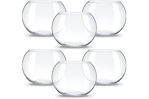 Clear Bowl Glass Bubble Planter for Decor