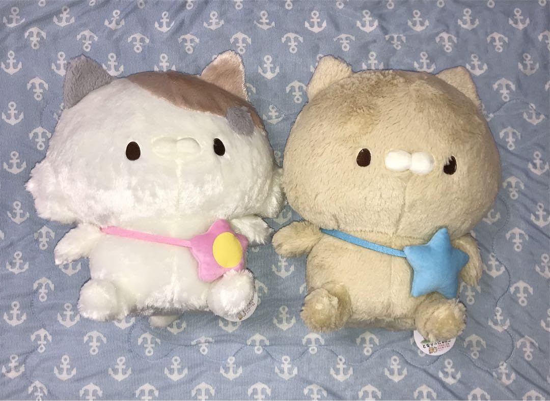 となりのにゃんこ　けだま&こだまBIGぬいぐるみ Amazon.co.jp: となりのにゃんこBIG（けだま&こだま）2個セット