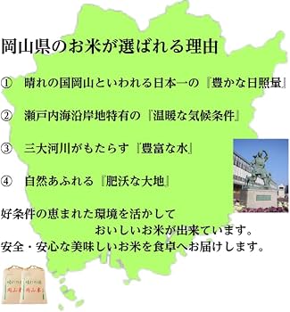 Amazon.co.jp: 岡山県産 きぬむすめ 20kg 令和7年産 精米 ミガキ米穀