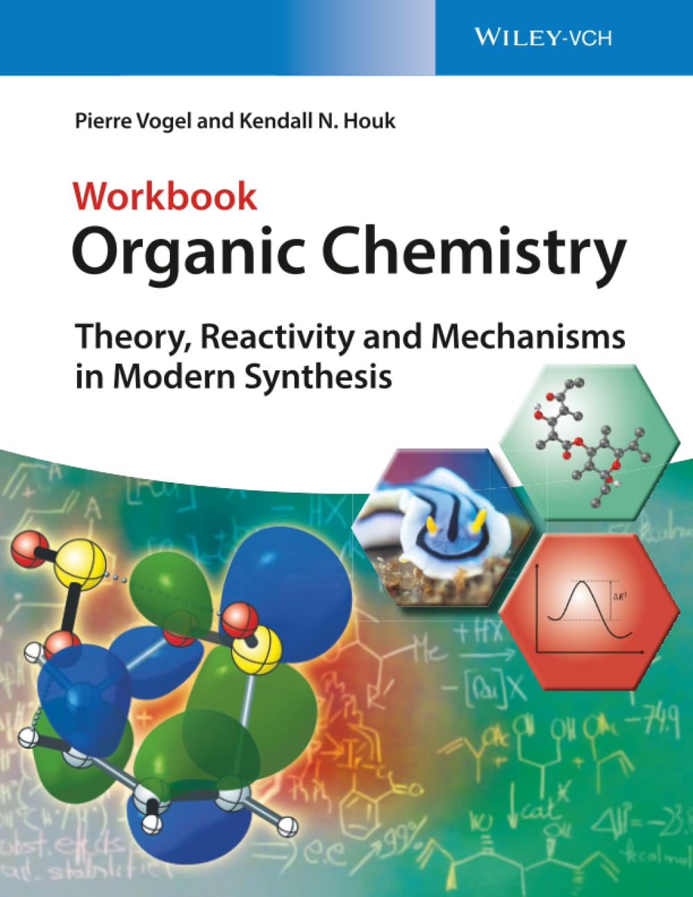 Organic Chemistry Workbook : Theory, Reactivity and Mechanisms in Modern Synthesis