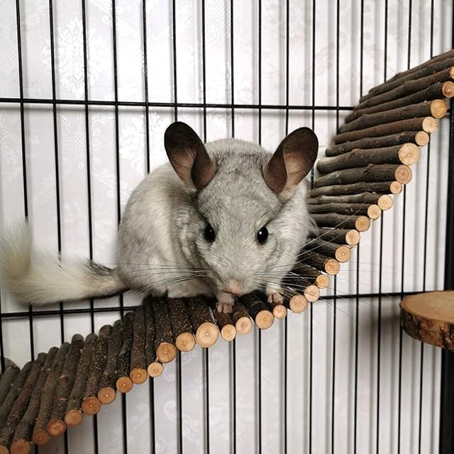 Foto 6 de 8 de Puentes Colgantes Madera para Mascota, Escalera de Madera para Hámster, Hámster Puente Escalera de Madera
