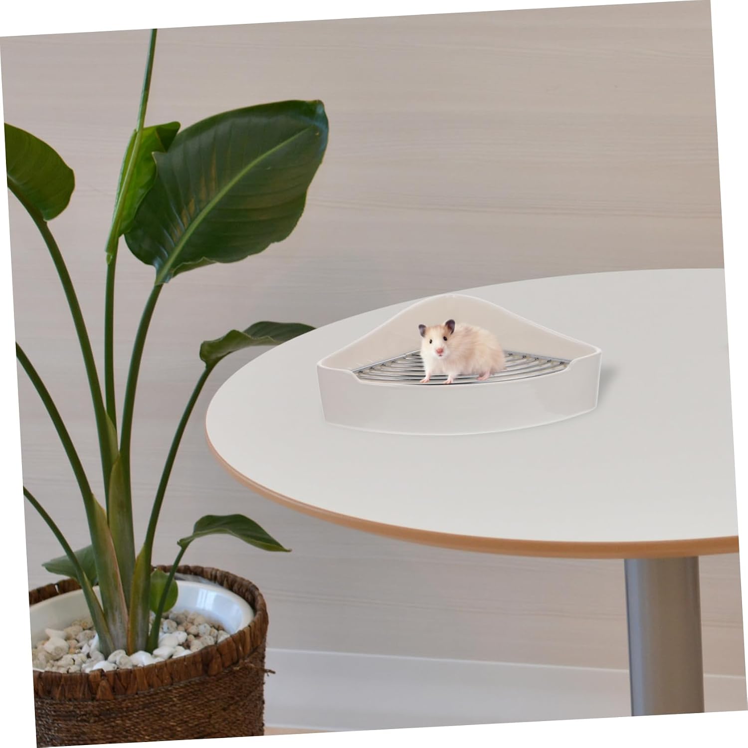 Milisten Bunny Litter Box Triangle Ceramic Toilet for Small Animals Easy Clean Potty Trainer for Rabbits Guinea Pigs Chinchillas and Hamsters Design with Edges