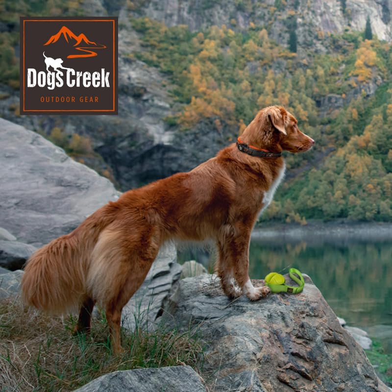 Dogs Creek Auto-Sicherheitsgeschirr Renegade XS