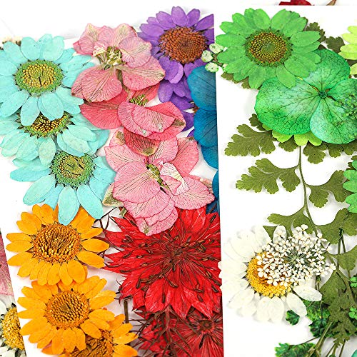 Flores secas para resina DIY 1 bolsa para manualidades miniatura 7