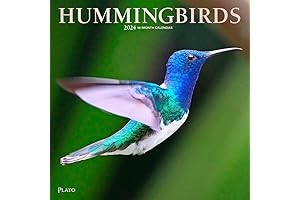 Browntrout's Hummingbirds 2024 Wall Calendar