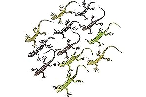 Rhode Island Novelty 5.5" Lizards for Home Decoration and Play