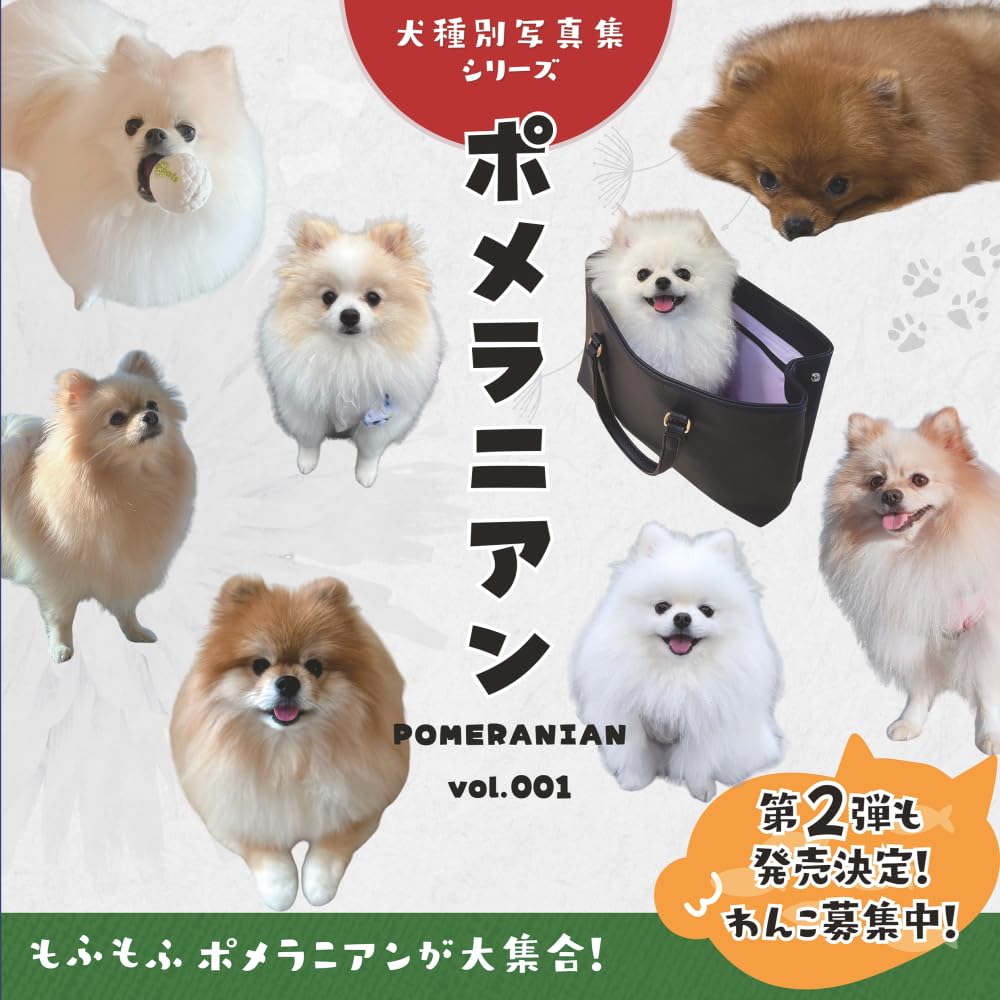 ポメラニアン（Pomeranian）vol.001 (犬種別写真集シリーズ)