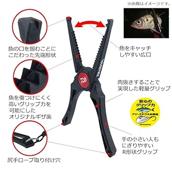 Amazon.com: Daiwa Fish Holder 240C Coyote : Deportes y