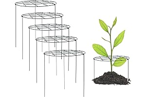 Rose Cages for Support - 16 x 24 Inch - 5 Pack Plant Support Stakes