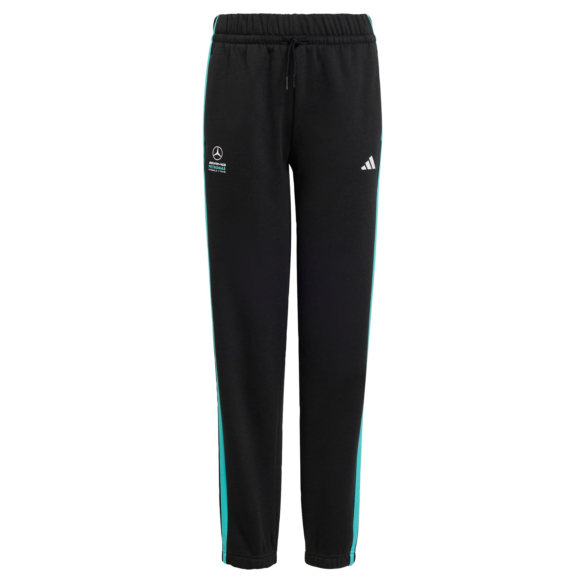 Adidas Mercedes - Amg Petronas Formula 1 Team Dna Pant