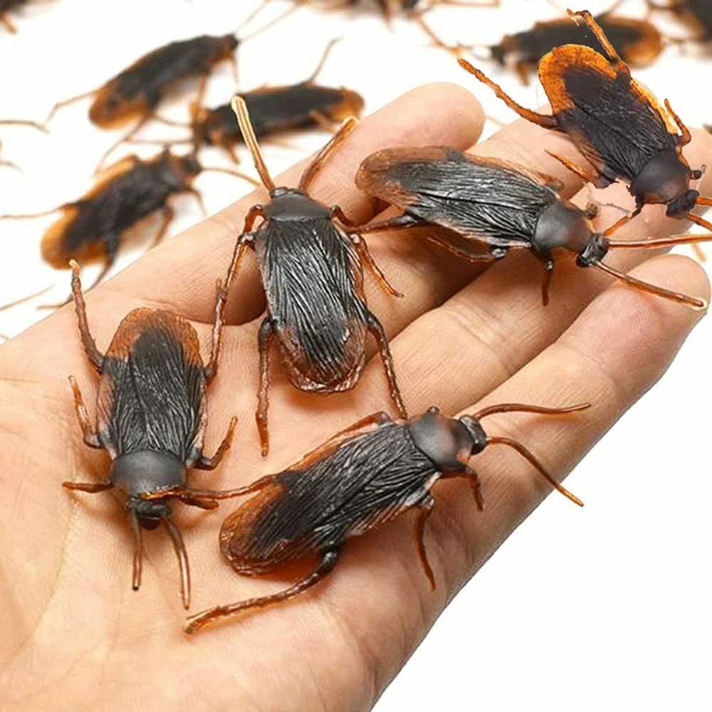 Prank Fake Roaches Model Fake Rubber Cockroach Roach Bug Roaches Toy Prank Funny Trick Joke Toys Plastic Bugs Lifelike Creepy Perfect for Halloween Project, Tricking People, Kid Playing (30)