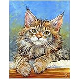 ✅【 Pintura por números 5D animales para adultos 】 Los diamantes de imitación cuadrados están hechos de diamantes de resina, que se lijan con 17 facetas y brillan mucho más intensamente que las piedras Juego de pintura de diamantes 5D completo , fuerte tercera dimensión y nunca se desvanecen. Recibirás más del 20% de los diamantes. Si tiene alguna pregunta sobre la square diamond painting gatos persas cuadros diamantes punto de cruz impreso adultos , contáctenos de inmediato.