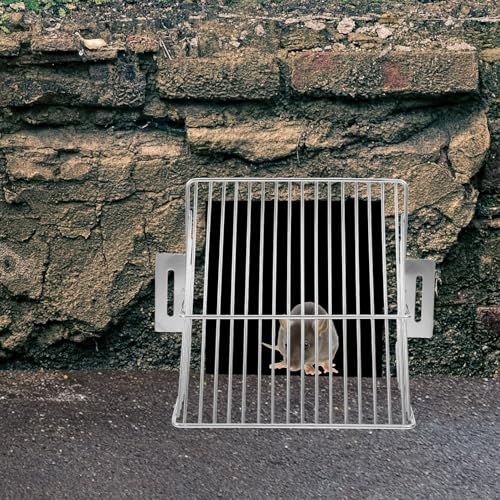 FOYTOKI p XeXJ Xg[i[ bVrJo[  r l܂h~ cK[h