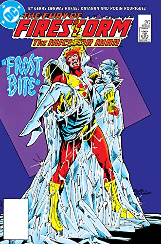 Cover of The Fury of Firestorm (1982-1990) #20