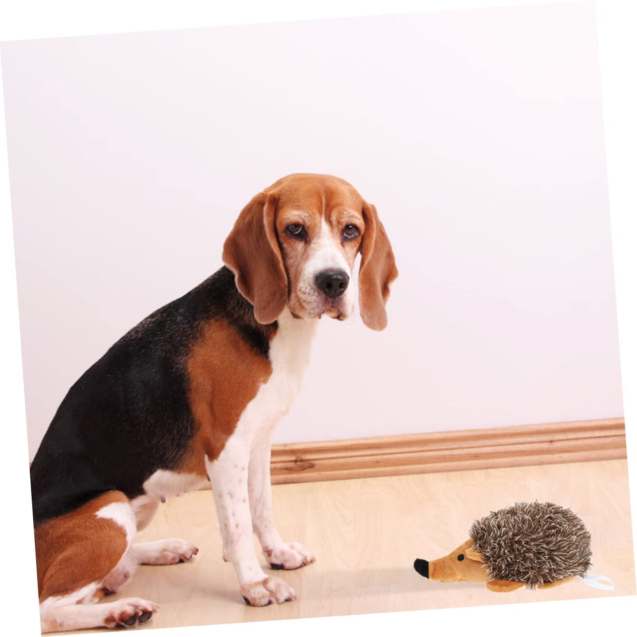 Sosoport 6stücke Teiliges Hundespielzeug Langlebiges Kauspielzeug Für Welpen Interaktives Plüschspielzeug Mit Quietscher Zur Zahnpflege Für Spielvergnügen