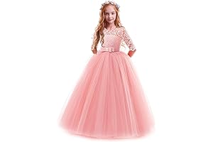 Exquisitely Embroidered Puffy Princess Dress