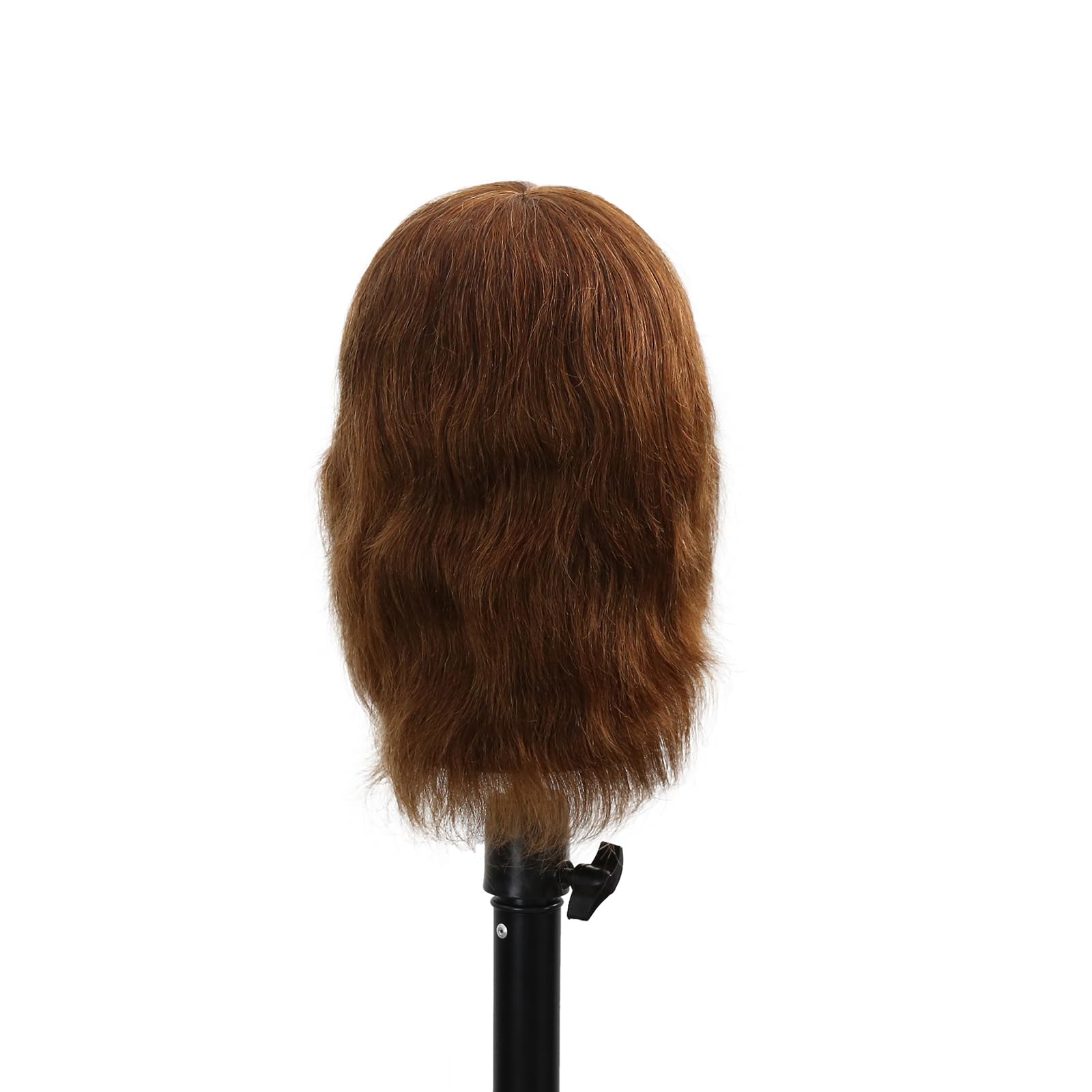Stancia Friseur Mannequin Kopf männlich, Mannequinkopf Menschenhaar zum Üben von Haarschnitt, Kosmetologie Mannequinkopf mit 100% Echthaar