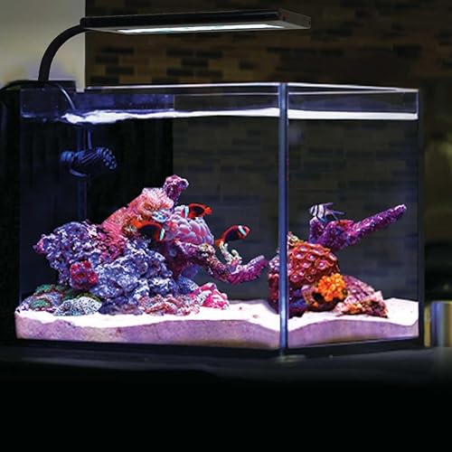 CURRENT Orbit Marine NANO LED - Luz LED de 16 W para acuario marino de agua salada con atenuación, luz de luna, cubierta de nubes e iluminación,