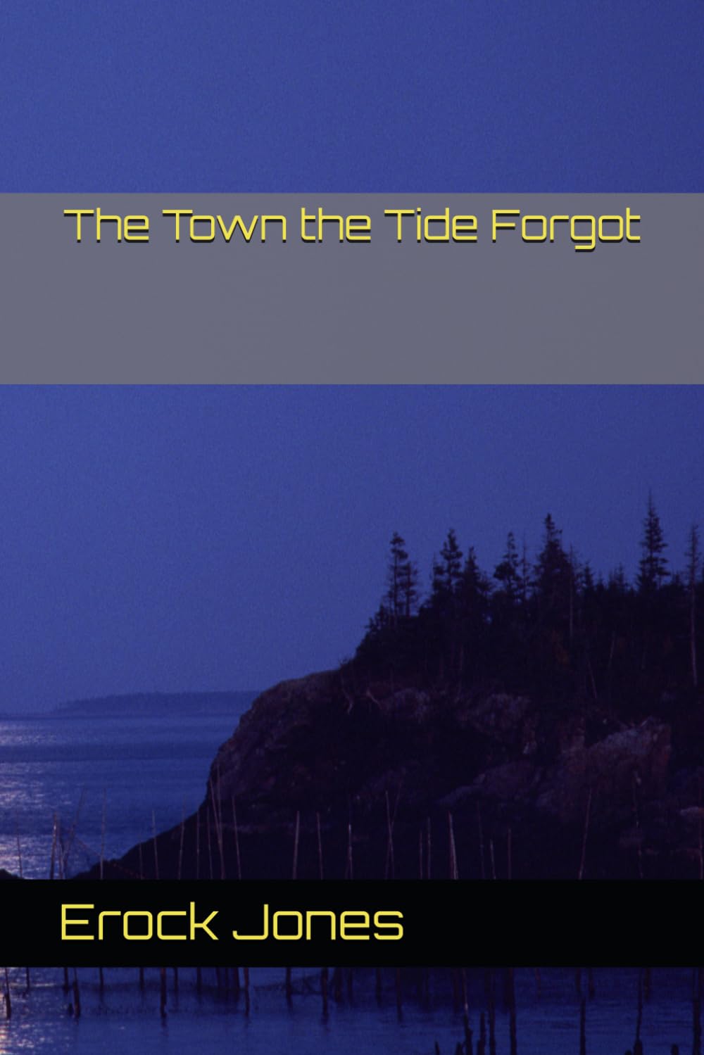 The Town the Tide Forgot