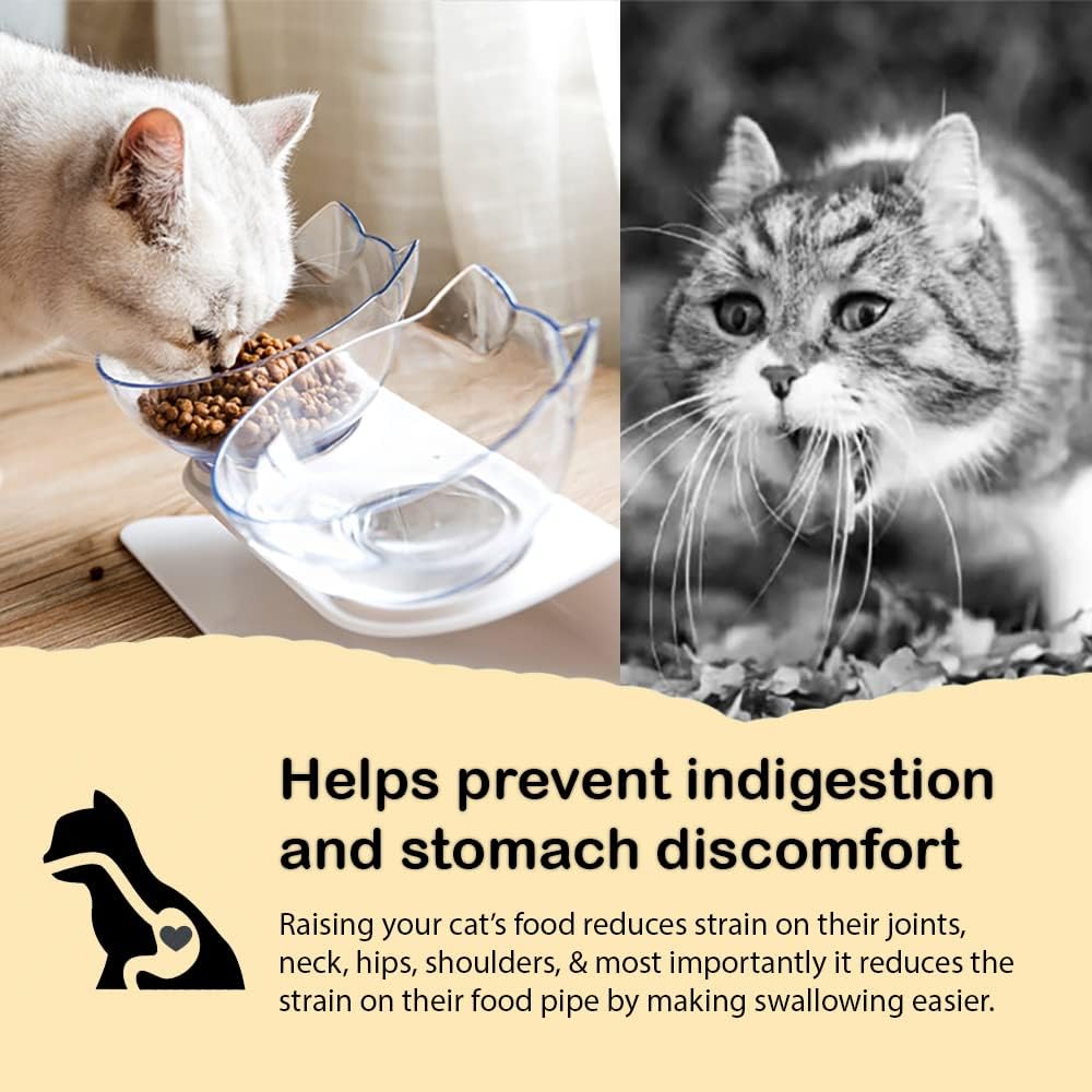 Leo's Paw Anti-Vomiting Orthopedic Cat Bowl Elevated 15° Tilted Cat Food and Water Bowls for Better Digestion Raised Stand with Non-Slip Bottom Detachable Feeding Bowl (Double Clear)