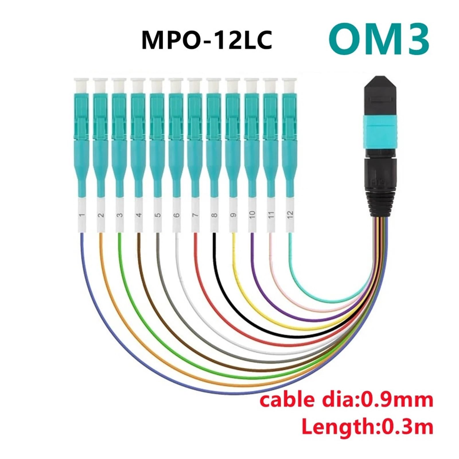 Cordon de raccordement fibre optique MPO-LC 12 brins 0,9 mm 30 cm(0.3m MPO-LC SM)