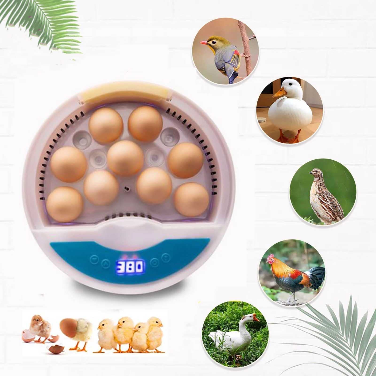 Ei-Inkubator 9 Eier, Inkubator Hühner Brutautomat Wärmeplatte Küken Brutapparat - für Hühner Wachteleier Vögel Ente Gänse (A 9 Eggs)