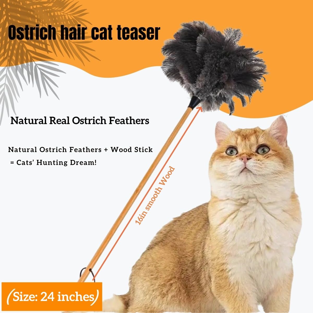 hongwei1952 Natural Ostrich Feather Cat Teaser Wand, 24 Inch Wooden Handle - Image 4