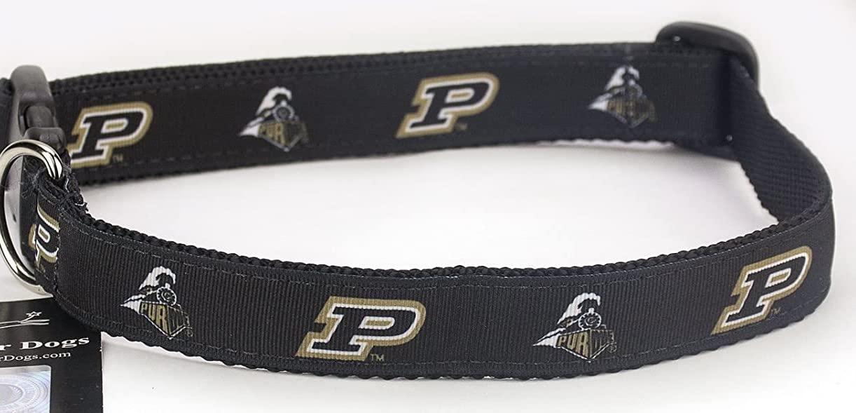 Pro Sport Brand College Dog Collar (Large, Purdue)
