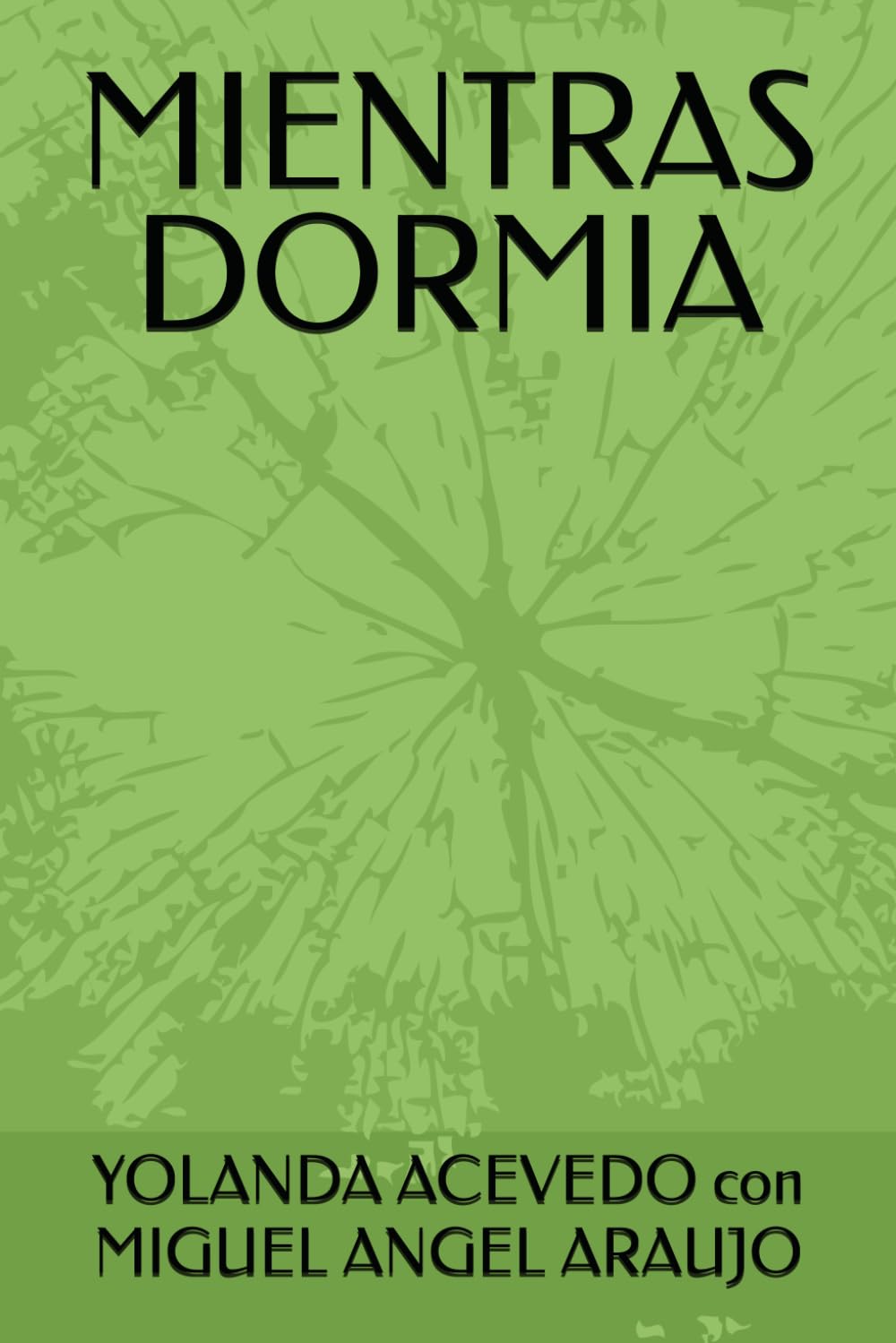 MIENTRAS DORMIA