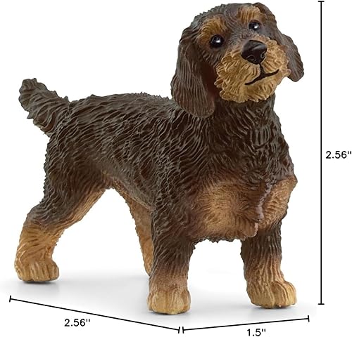 Miniatura 6 de Schleich Perro salchicha de pelo de alambre