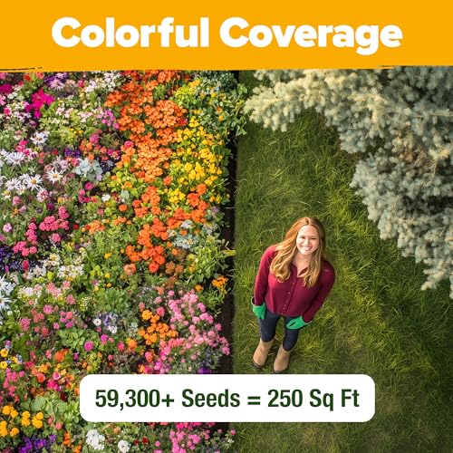Image of HOME GROWN Premium Wildflower Seeds Bulk Mix | 59,300+ Perennial & Annual Flower Seed for Planting Outdoors | 19 Varieties Throw and Grow for Bees & Butterflies | 2 oz