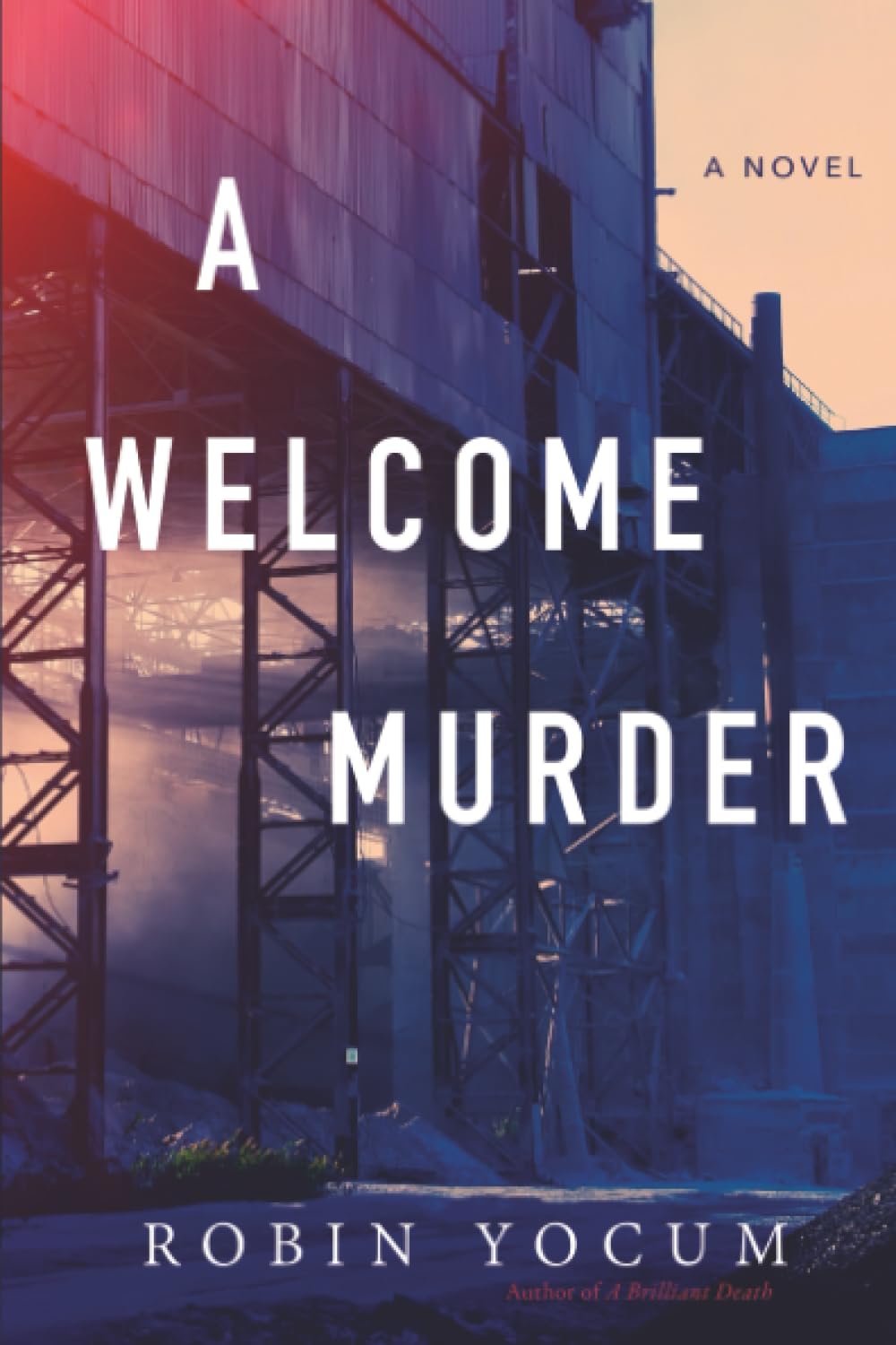 Buy A Welcome Murder — BookShops.in