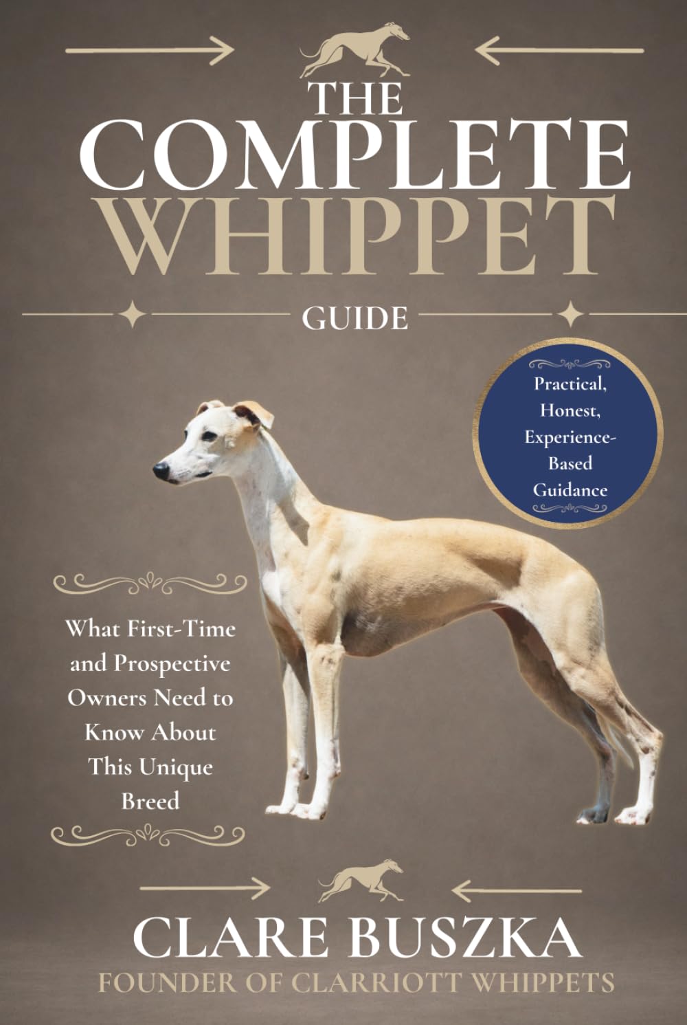 The Complete Whippet Guide: What First-Time and Prospective Owners Need to Know About This Unique Breed